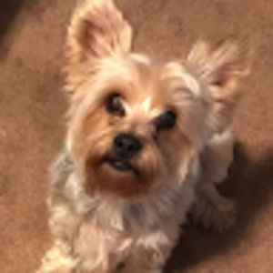 Meet your Posher, Pamela